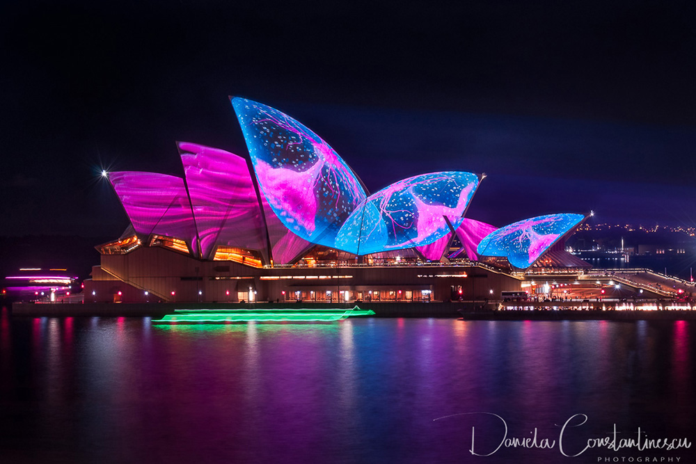 Vivid 2017 A Sea Creature finds home on the Opera House  shell roofs